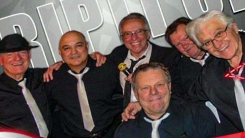 Read more about the article Rip It Up